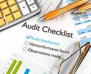audit review compilation