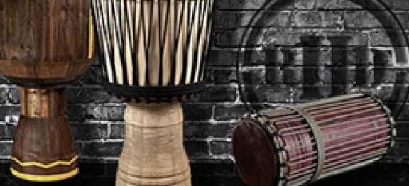 Carlini CPA, PLLC: Spotlight on our valued clients